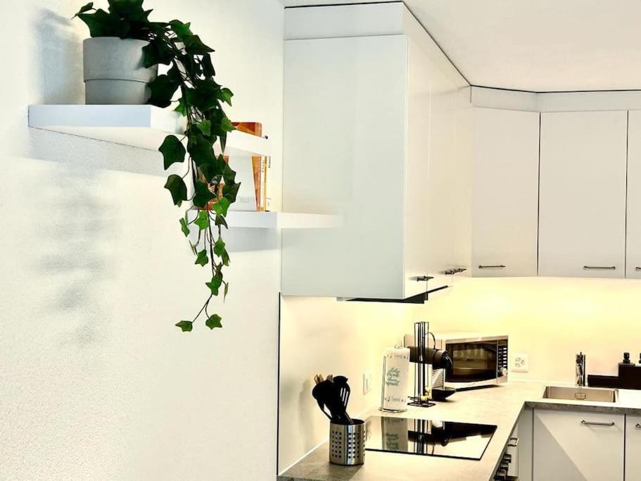 דירות דיטיקון Casa Ambizione מראה חיצוני תמונה